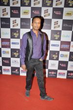 at Radio Mirchi music awards red carpet in Mumbai on 7th Feb 2013 (77).JPG
